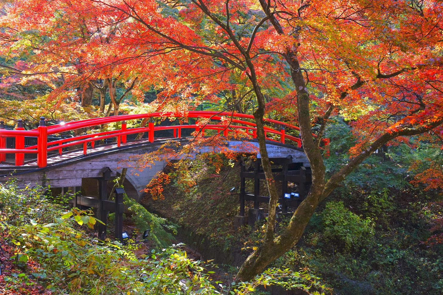 群馬県