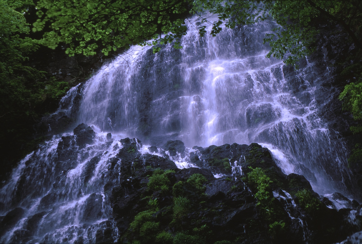 福井県