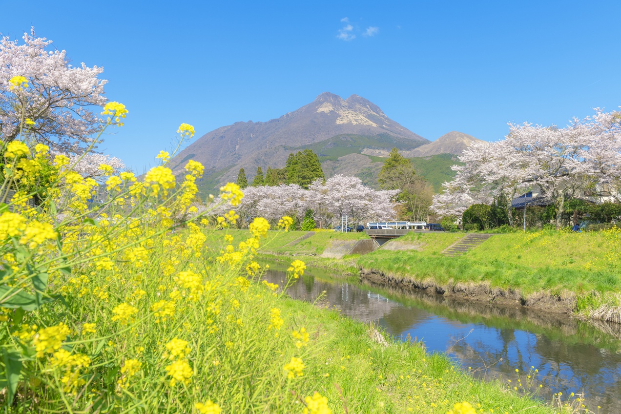 大分県