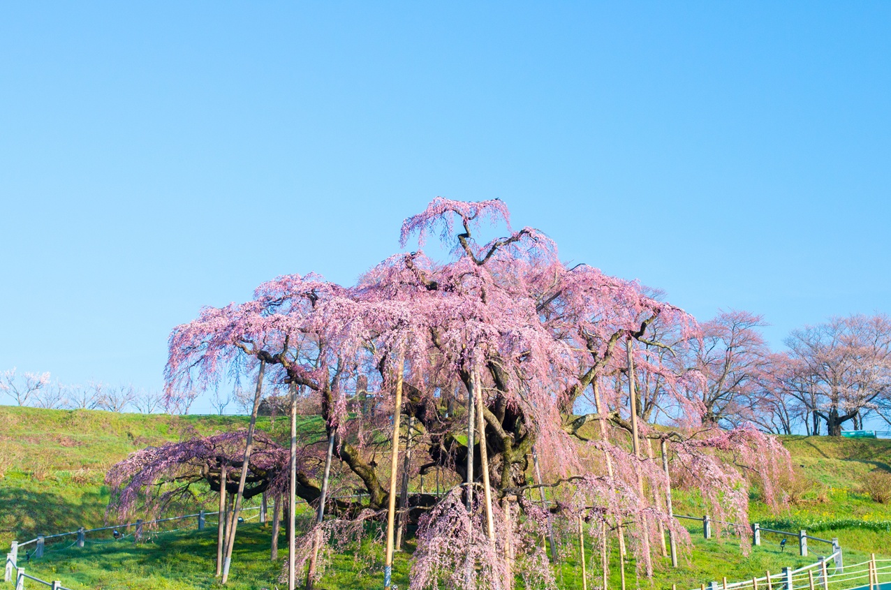 福島県