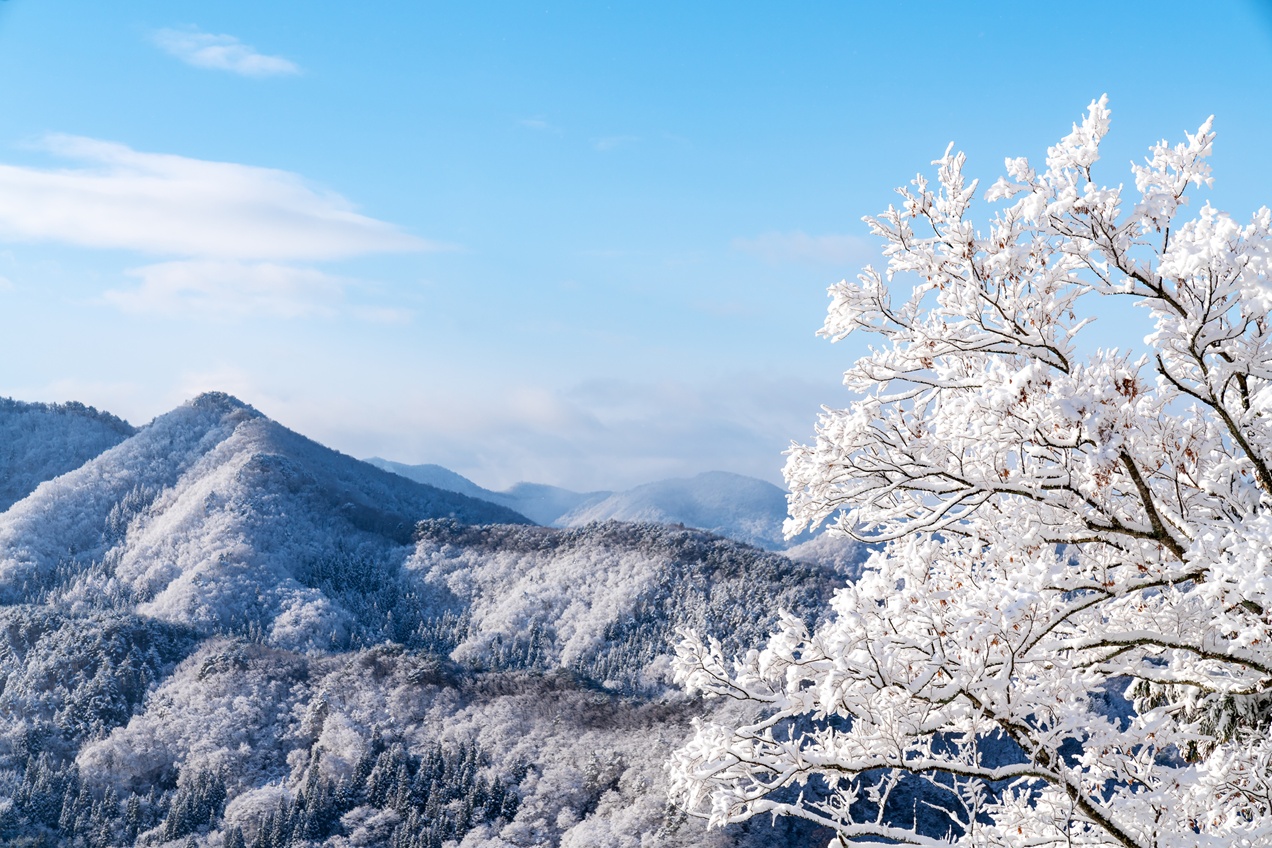 山形県